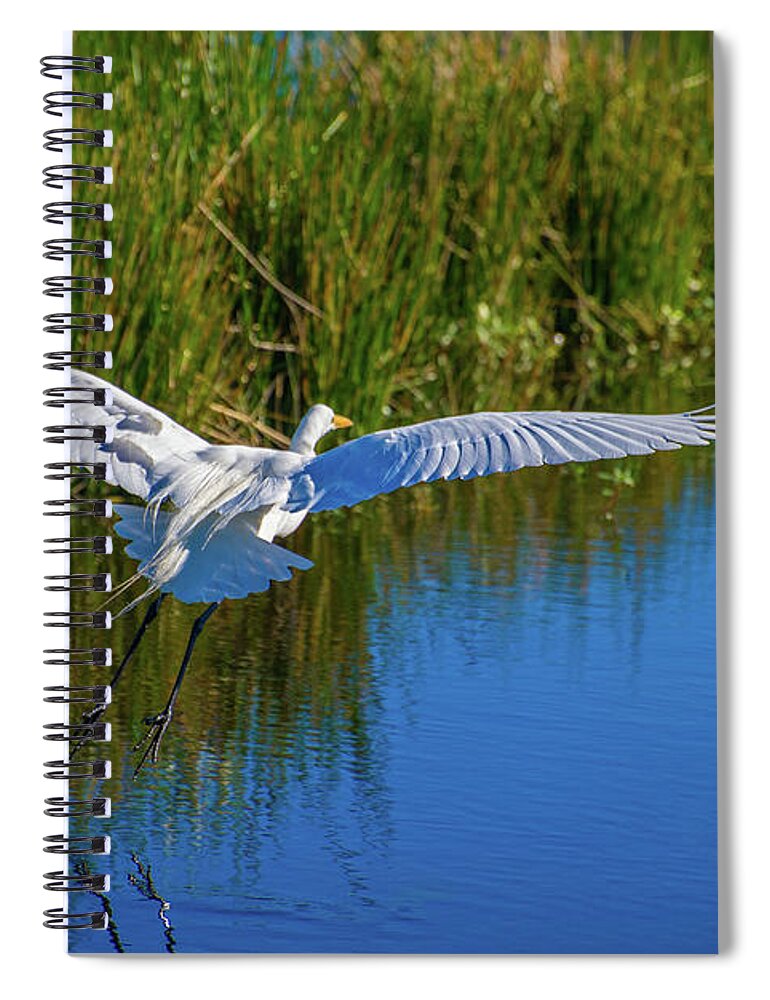 White Heron Spiral Notebook featuring the photograph Winged Retreat by Lynn Bauer