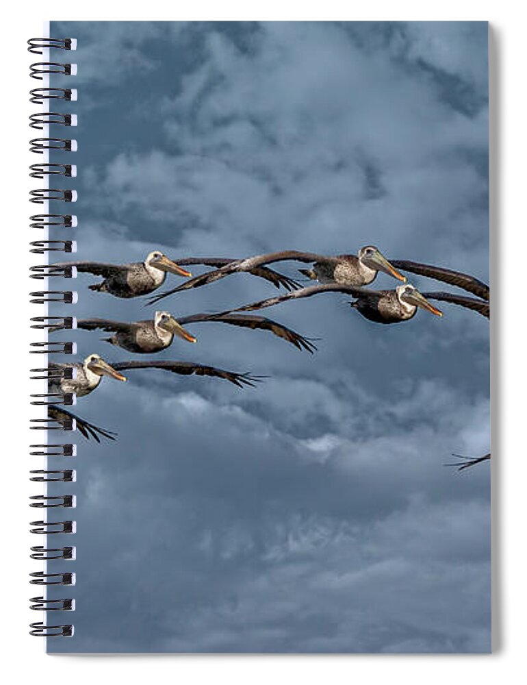 Birds Spiral Notebook featuring the photograph Wings In Formation by DB Hayes