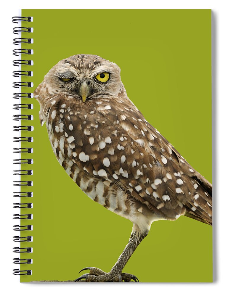 Owl Spiral Notebook featuring the photograph Winking Owl by Bradford Martin