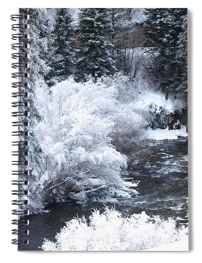 Trees Spiral Notebook featuring the photograph Winter Along The Creek by DeeLon Merritt