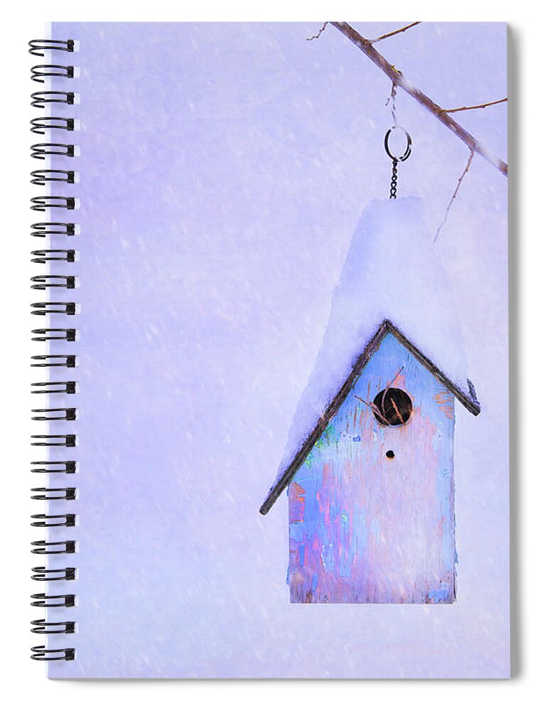 Birdhouse Spiral Notebook featuring the photograph Winter Birdhouse by Theresa Tahara