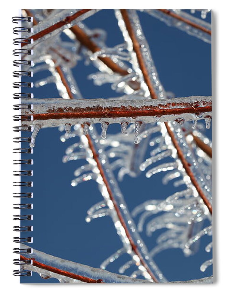 Winter Spiral Notebook featuring the photograph Winter Blue by Nadine Rippelmeyer