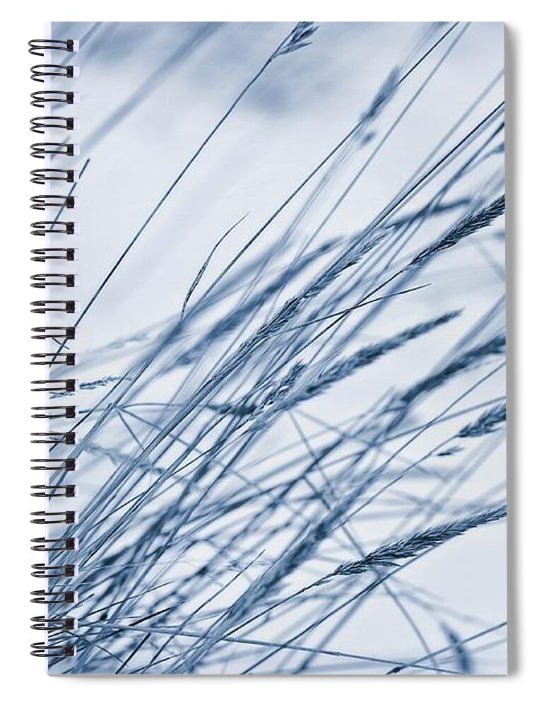 Breeze Spiral Notebook featuring the photograph Winter Breeze by Priska Wettstein