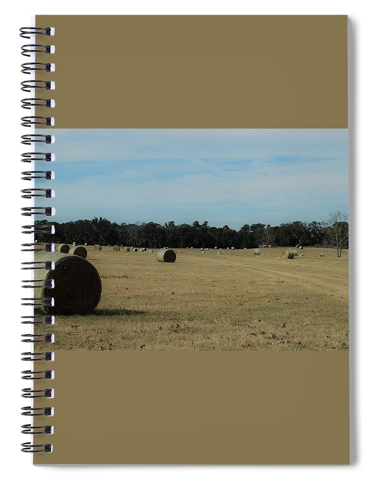 Winter Browns Spiral Notebook featuring the photograph Winter Browns by Warren Thompson