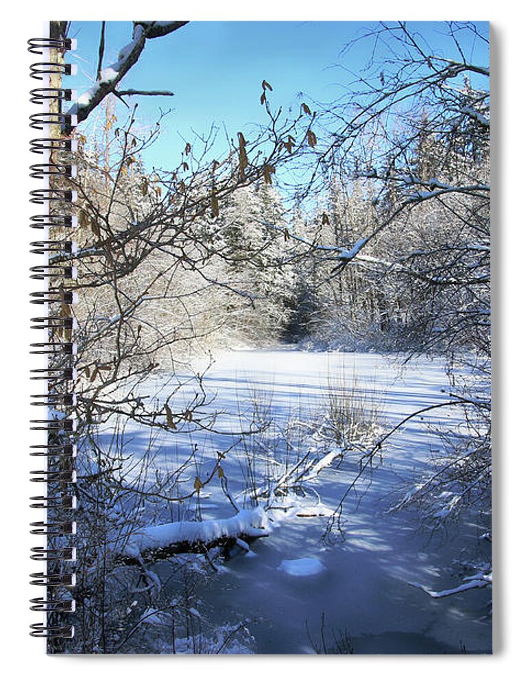 Pond Spiral Notebook featuring the photograph Winter Came to Visit by Cheryl Rose