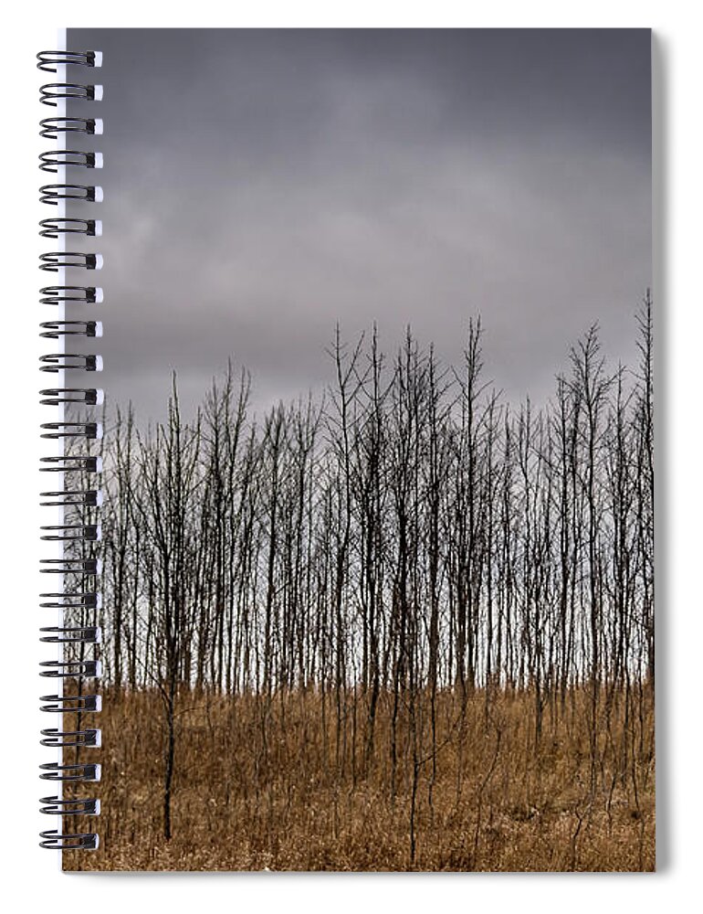Park Spiral Notebook featuring the photograph Winter dry by SAURAVphoto Online Store