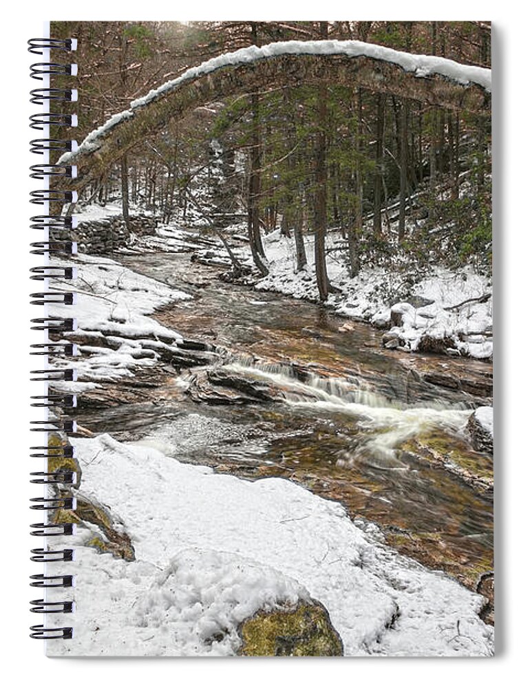 Winter Spiral Notebook featuring the photograph Winter Forest Hydra by Angelo Marcialis
