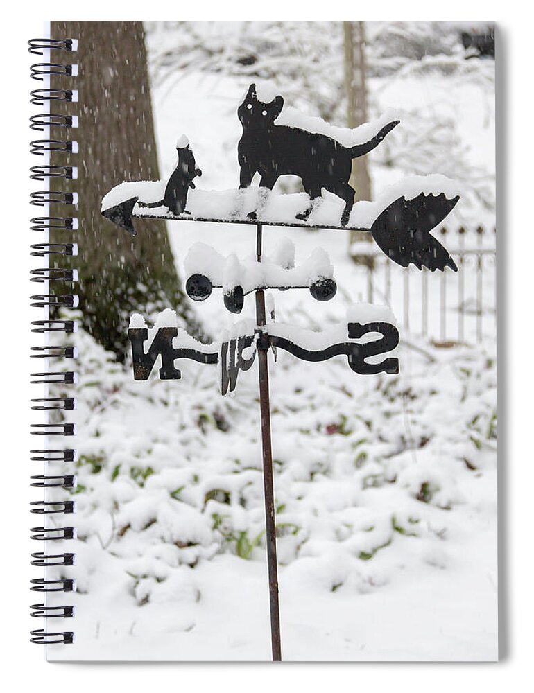 2018 Spiral Notebook featuring the photograph Winter in Spring Kitty Weathervane by Teresa Mucha