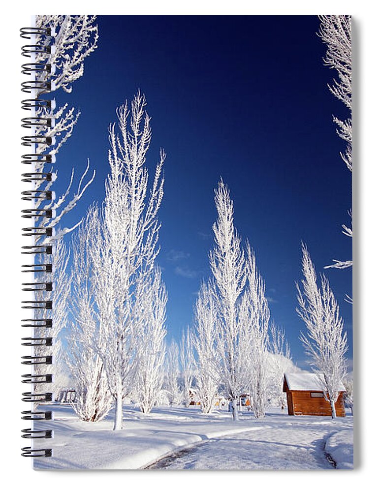 Winter Spiral Notebook featuring the photograph Winter Landscape by Wesley Aston