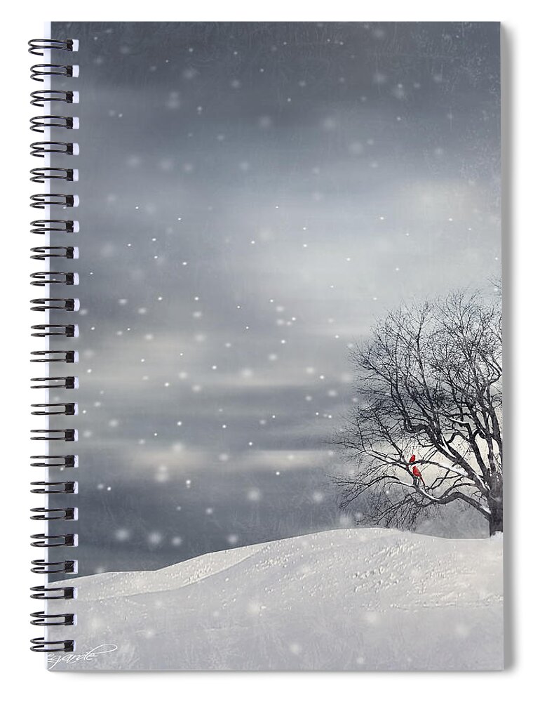 Four Seasons Spiral Notebook featuring the photograph Winter by Lourry Legarde
