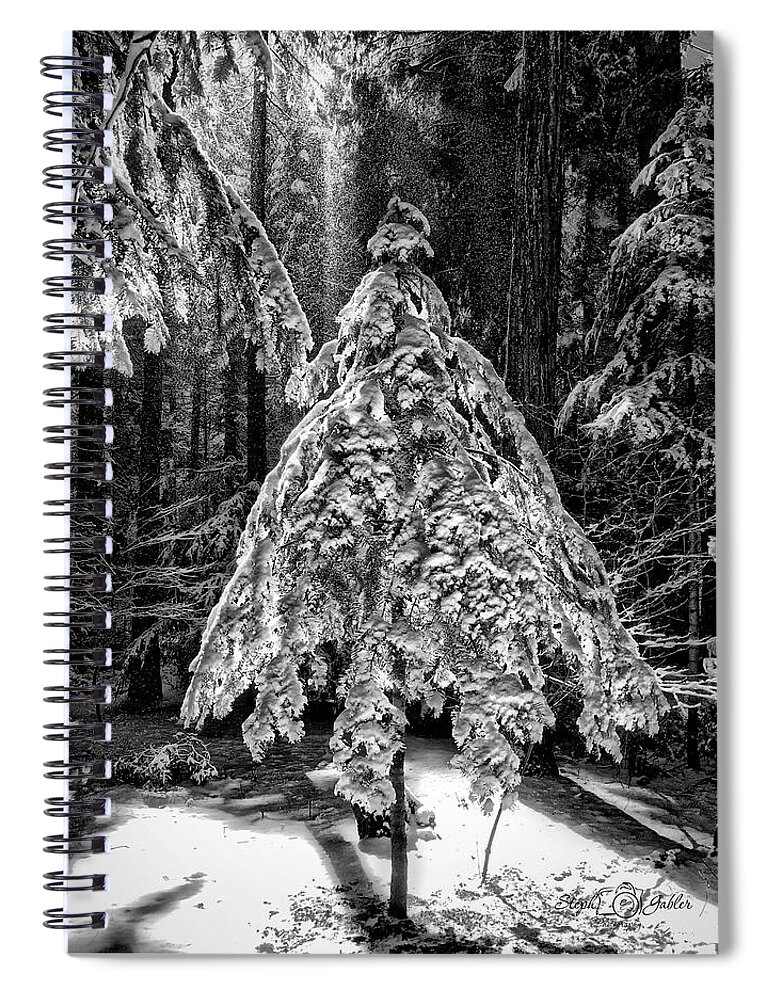 Winter Spiral Notebook featuring the photograph Winter Morning by Steph Gabler