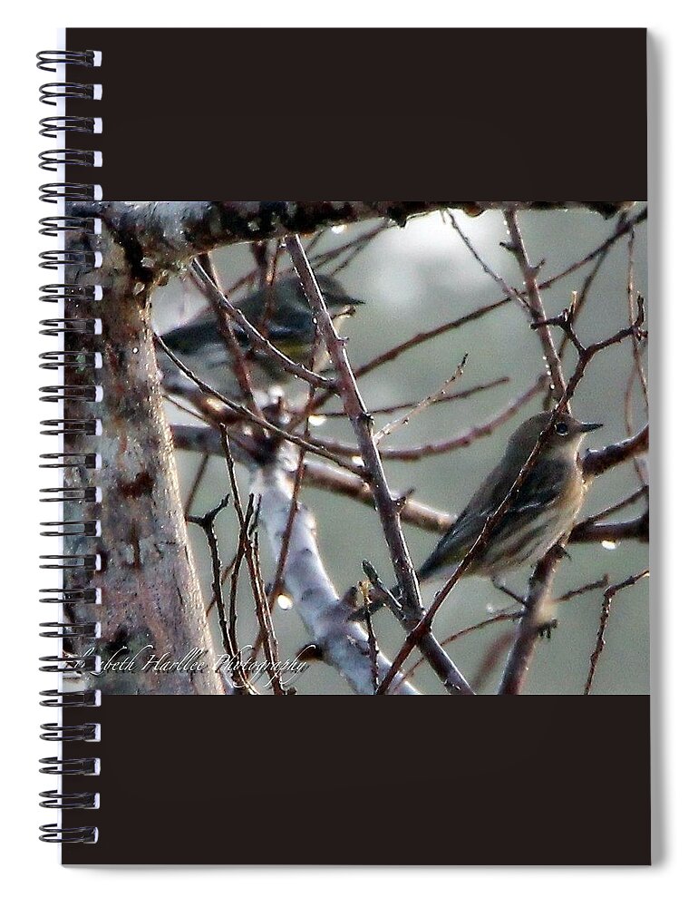 Birds Spiral Notebook featuring the photograph Winter Pair by Elizabeth Harllee