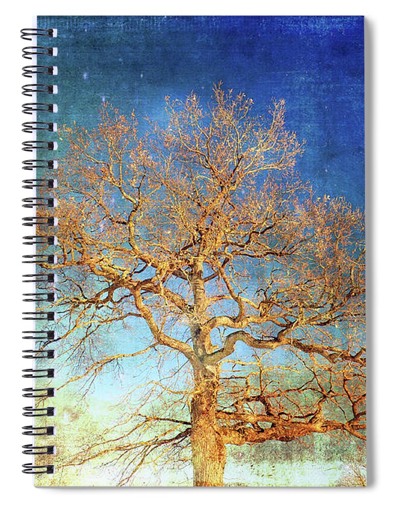 Tree Spiral Notebook featuring the photograph Winter Promise by Randi Grace Nilsberg