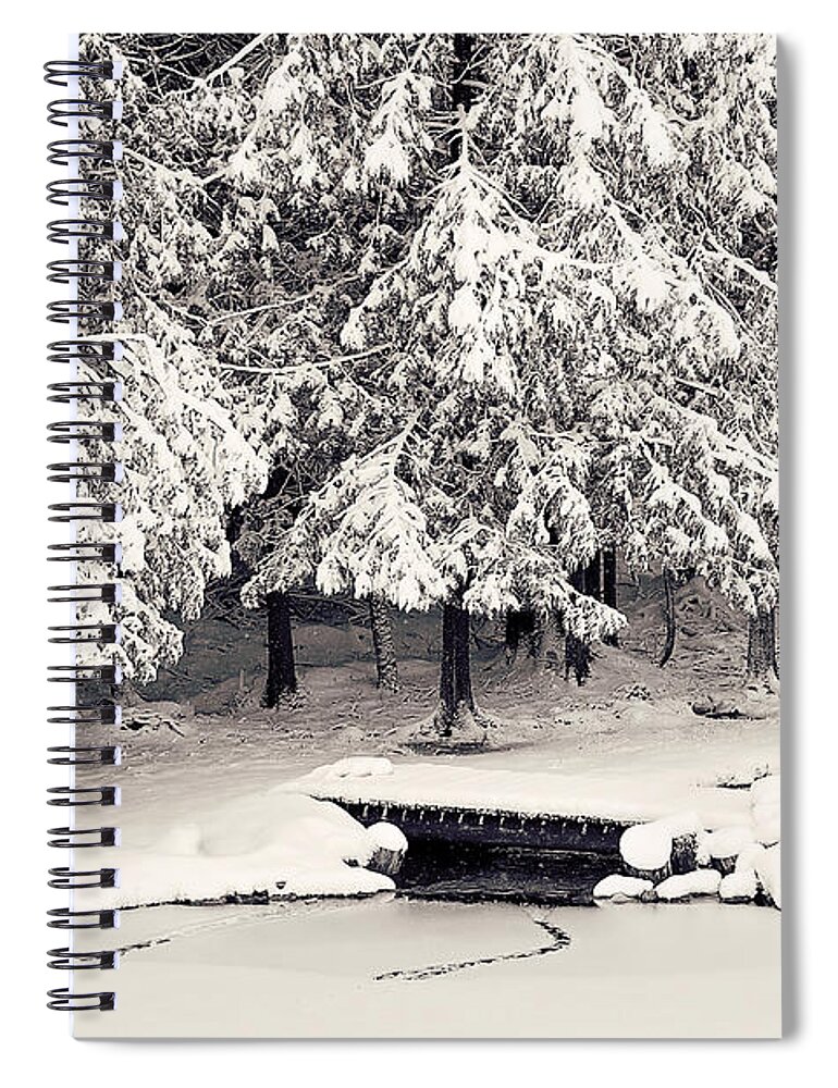 Winter Scenic Print Spiral Notebook featuring the photograph Winter Scene Black and White Print by Gwen Gibson