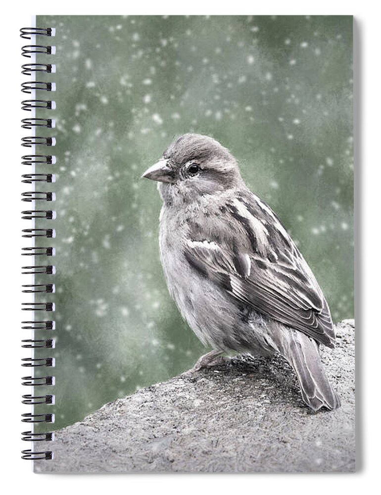 Nature Spiral Notebook featuring the photograph Winter Sparrow by Sharon McConnell
