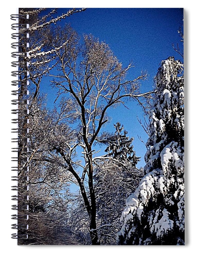 Frank-j-casella Spiral Notebook featuring the photograph Winter Sunshine by Frank J Casella