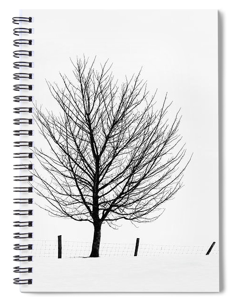 Lone Tree Spiral Notebook featuring the photograph Winter Tracery by Janet Burdon