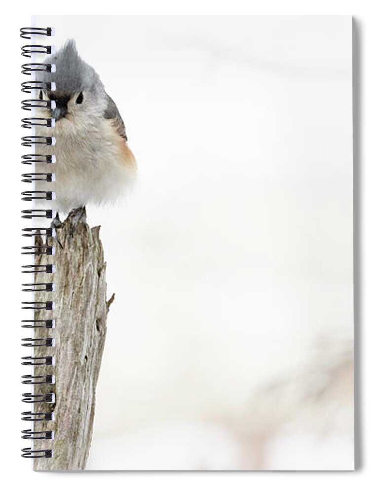 Bird Spiral Notebook featuring the photograph Winter Visit by Holly Ross