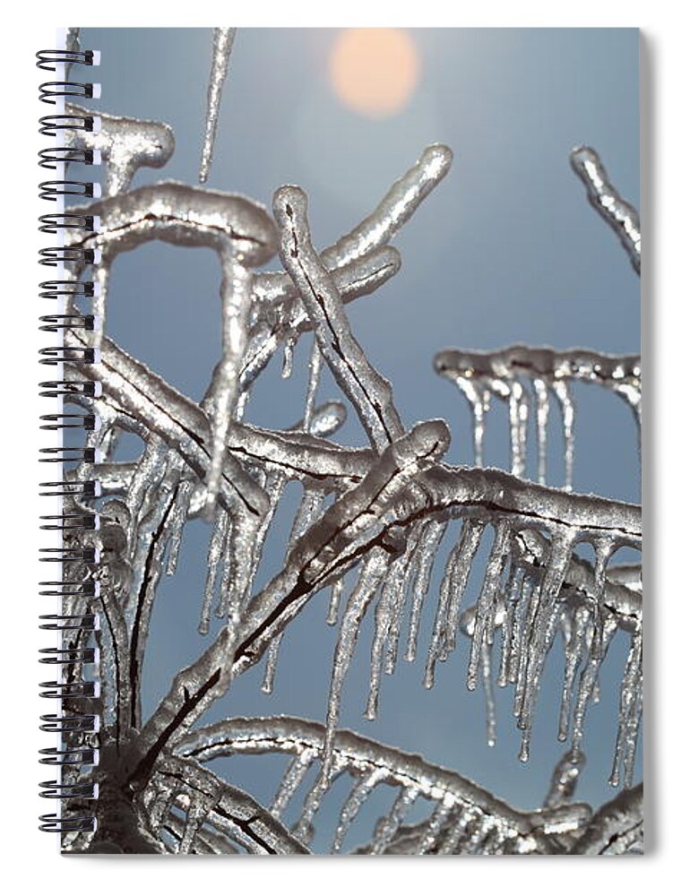 Winter Spiral Notebook featuring the photograph Winter Warmth by Nadine Rippelmeyer