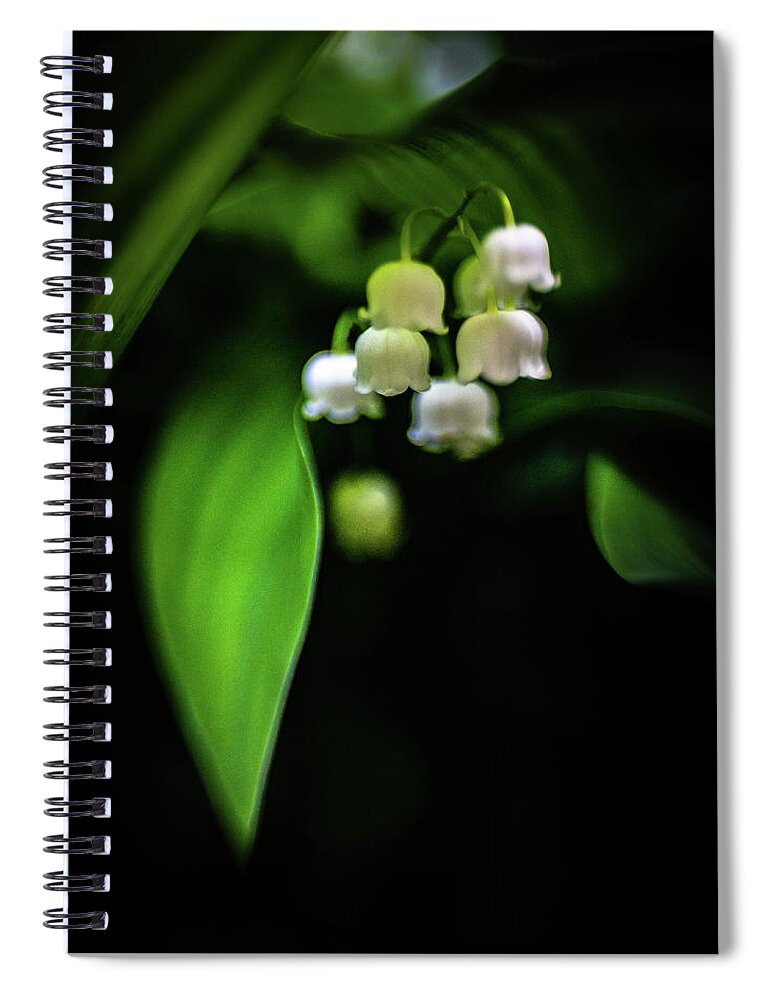 Lily Of The Valley Spiral Notebook featuring the photograph Shade Blossoms by Pamela Taylor
