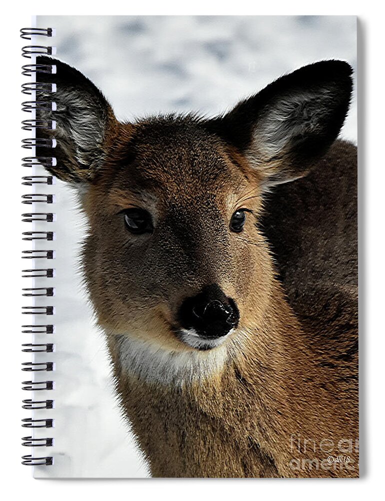 Diane Berry Spiral Notebook featuring the photograph Winter Wonder by Diane E Berry