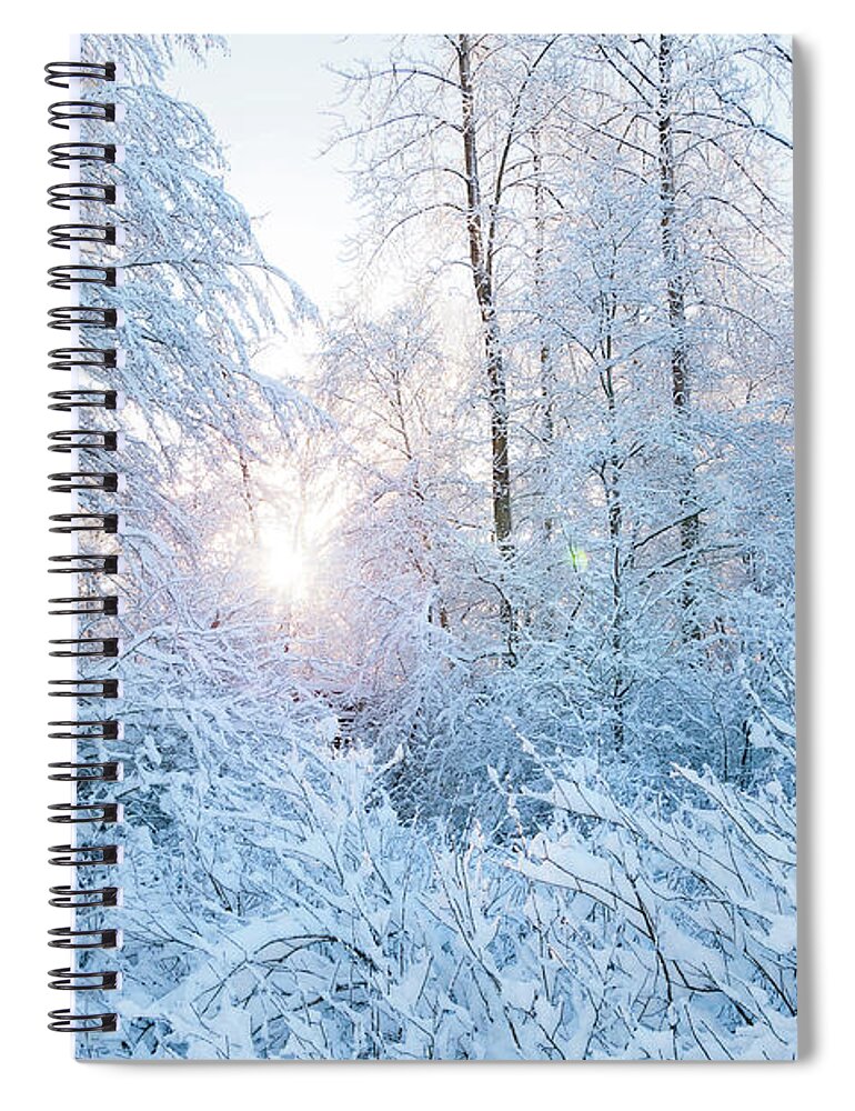 Winter Spiral Notebook featuring the photograph Winter Wonderland by Sandra Sigfusson