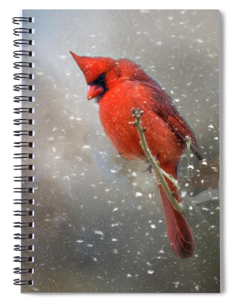 Animal Spiral Notebook featuring the photograph Winters Falling by Lana Trussell