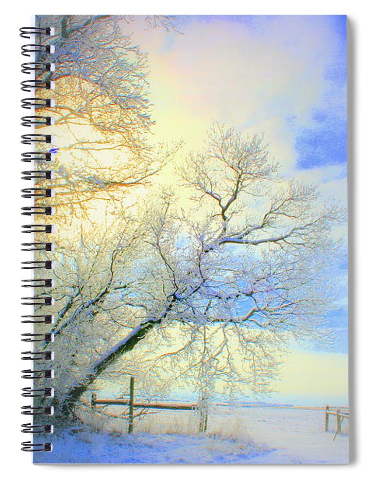 Snowy Sunday Spiral Notebook featuring the photograph Winters Pretty Presents by Julie Lueders 