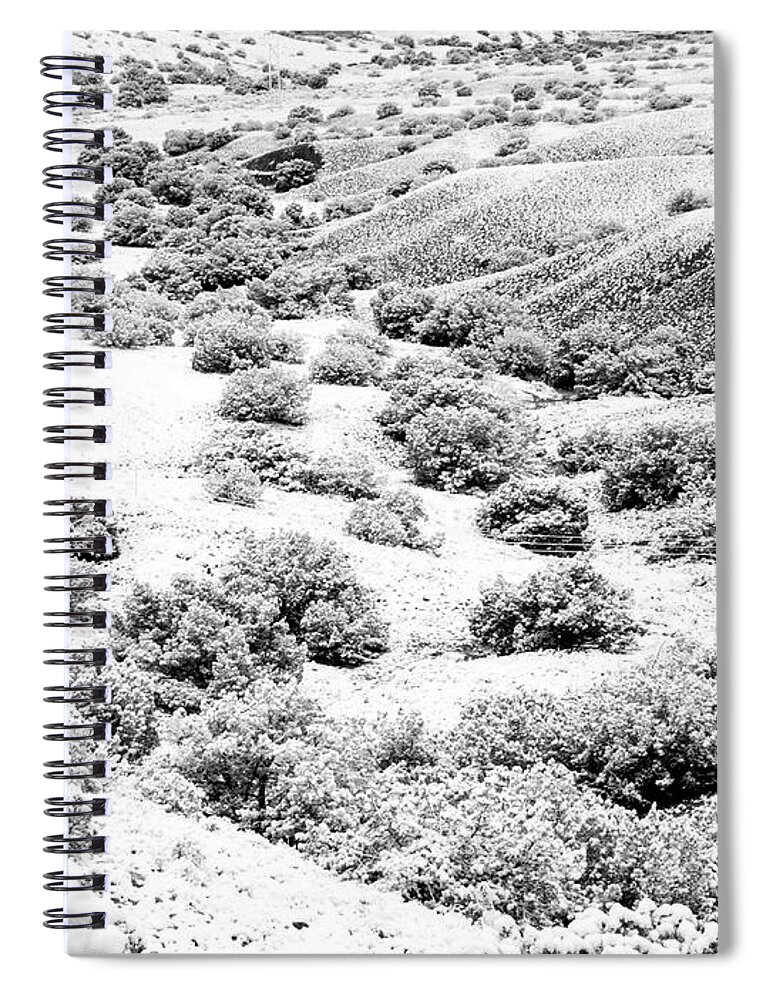 Landscapes Spiral Notebook featuring the photograph Wintry Day in the High Mountain Desert by Mary Lee Dereske