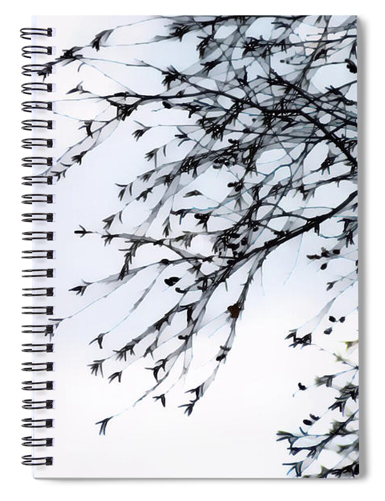 Wintry Mood Spiral Notebook featuring the photograph Wintry Mood - by Julie Weber