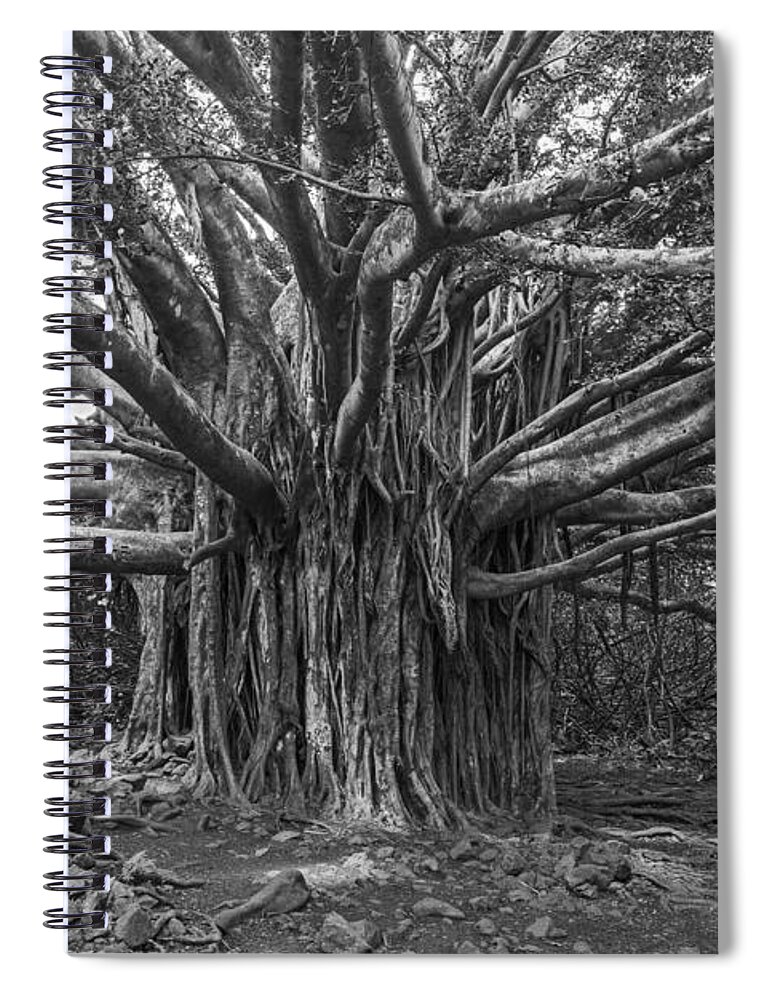 Haleakala Kipahula Park Spiral Notebook featuring the photograph wise one II by Jon Glaser