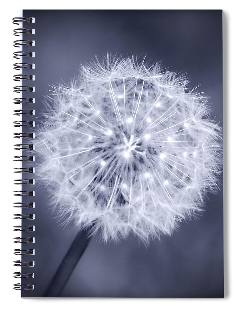 Dandelion Spiral Notebook featuring the photograph Wish by Melanie Alexandra Price