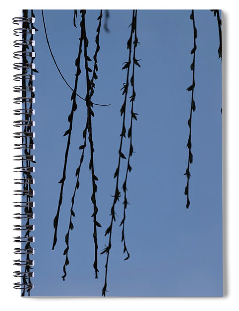 Silhouette Spiral Notebook featuring the photograph Wisp - by Julie Weber