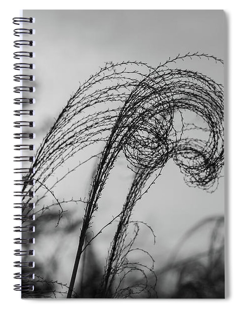 Minimal Spiral Notebook featuring the photograph Wispy by Len Tauro