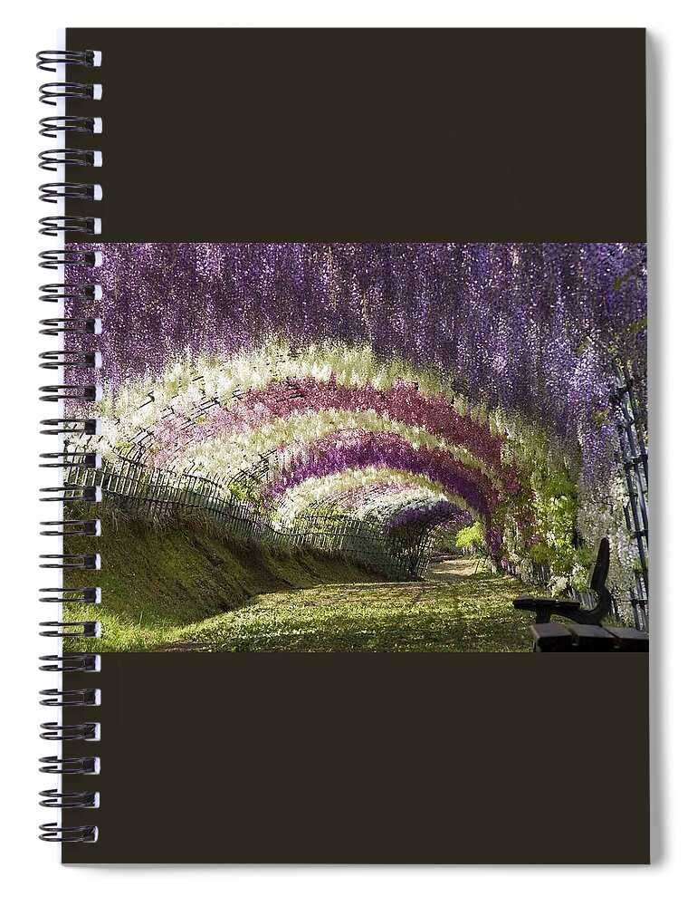 Wisteria Spiral Notebook featuring the photograph Wisteria by Jackie Russo