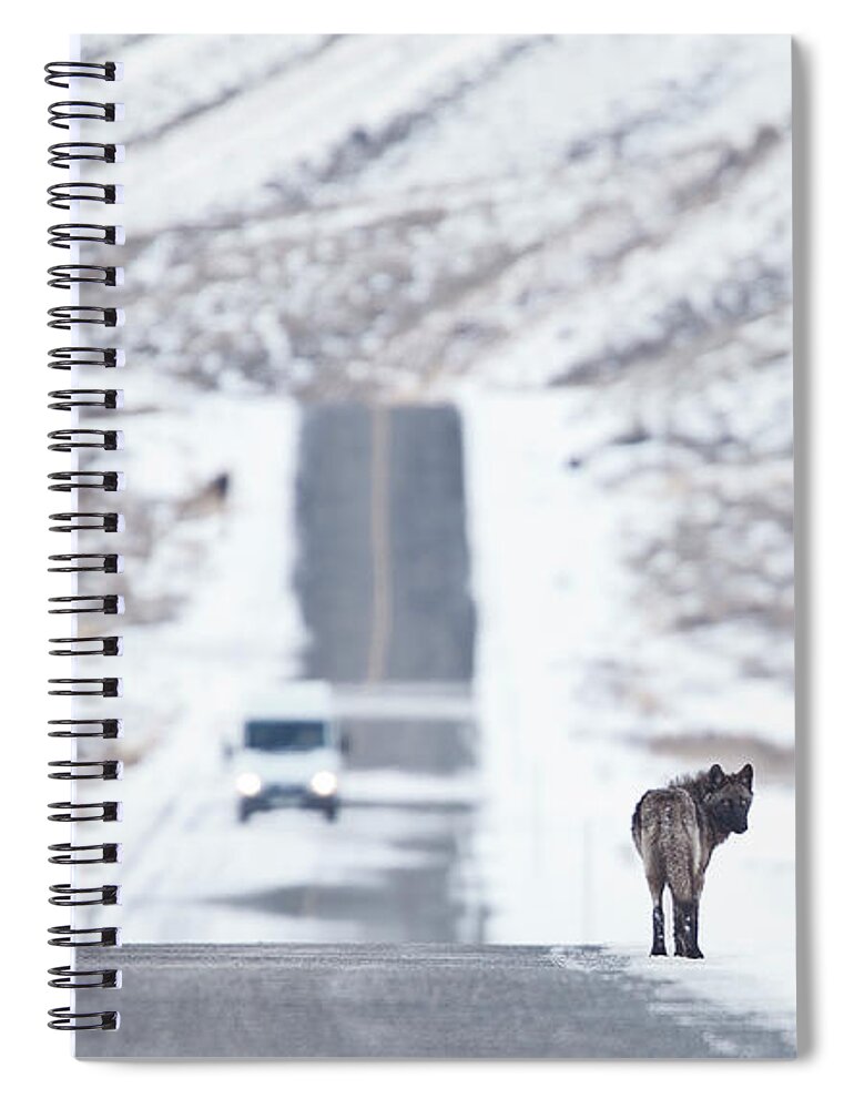 Travel Spiral Notebook featuring the photograph Wolf Land by Eilish Palmer