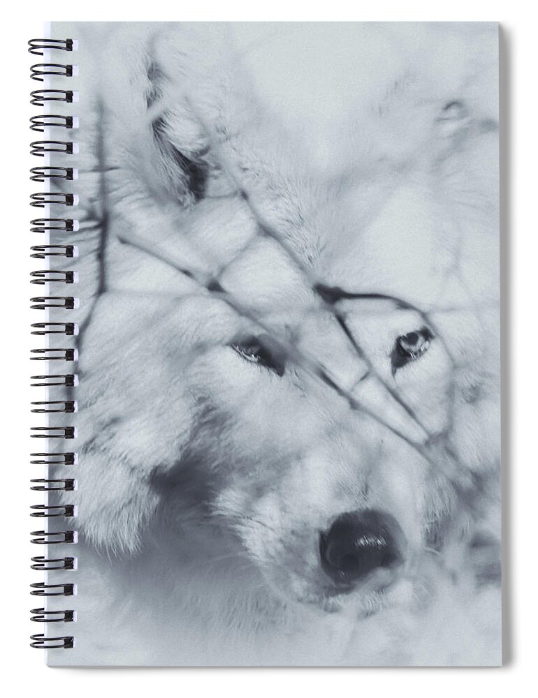 Wolf Spiral Notebook featuring the photograph Wolf Portrait by Crystal Wightman