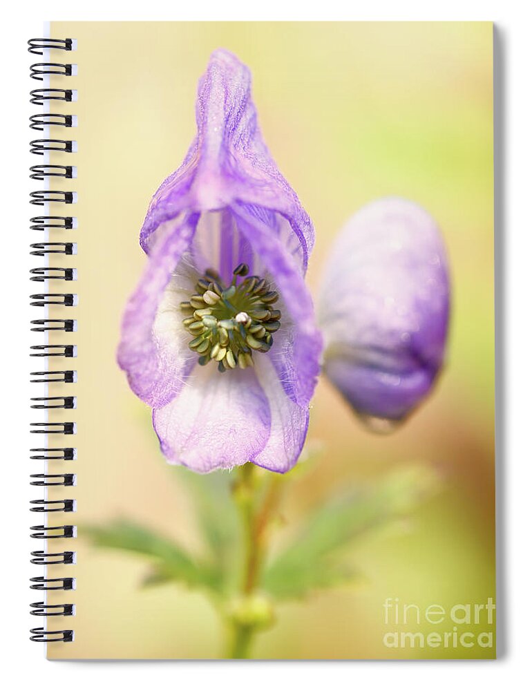 Flower Spiral Notebook featuring the photograph Wolf's bane flower with pistils by Nick Biemans