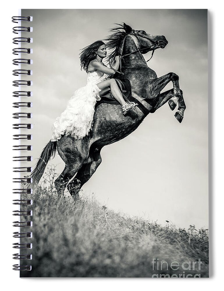 Horse Spiral Notebook featuring the photograph Woman in dress riding chestnut black rearing stallion by Dimitar Hristov