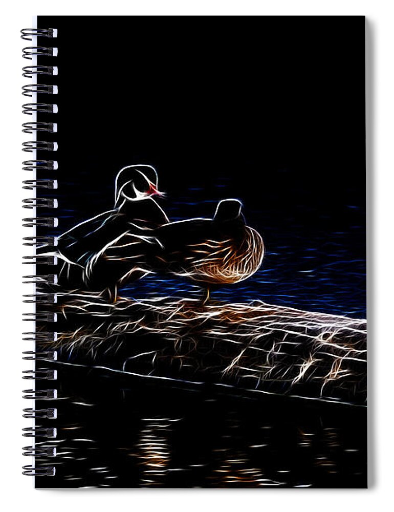 Wood Duck Spiral Notebook featuring the photograph Wood Duck Pair - Fractal by Lawrence Christopher