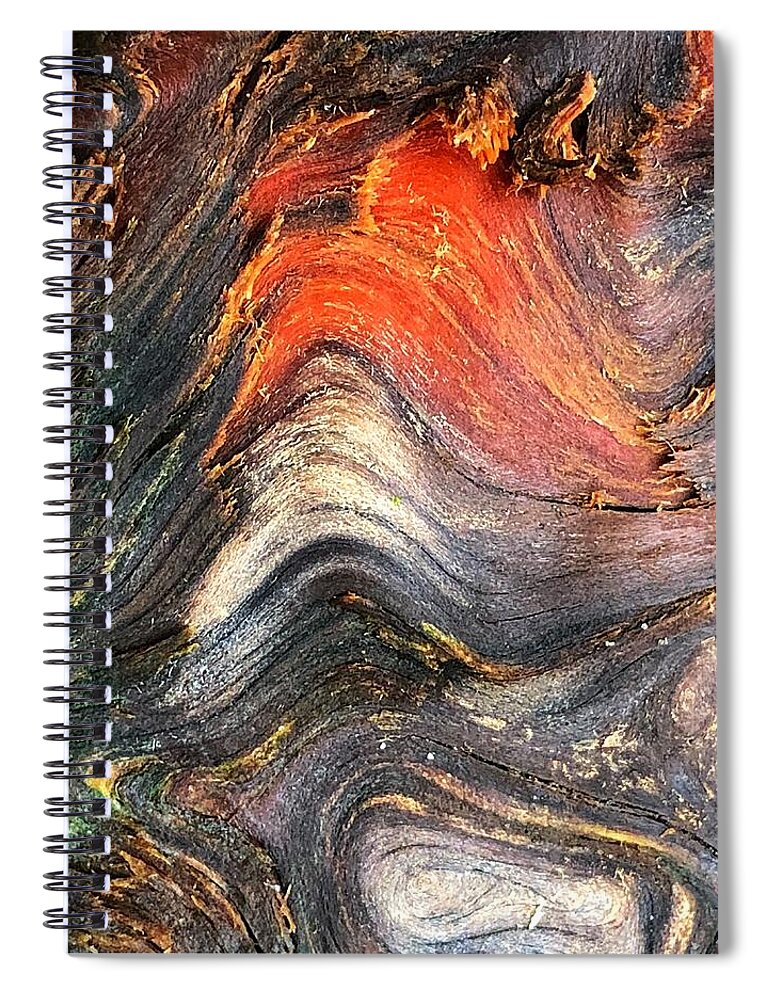 Oregon Beach Spiral Notebook featuring the photograph Wood Patterns by Bonnie Bruno