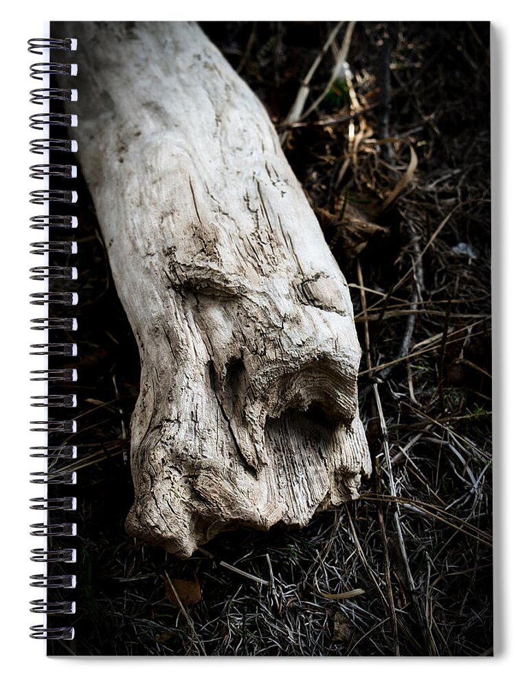 Abstract Spiral Notebook featuring the photograph Wood Spirit 2 by Cathy Mahnke