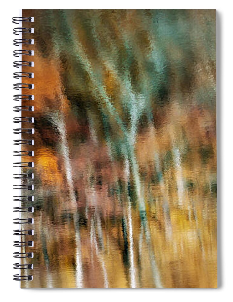 Abstract Spiral Notebook featuring the photograph Woodland Abstract by James Barber