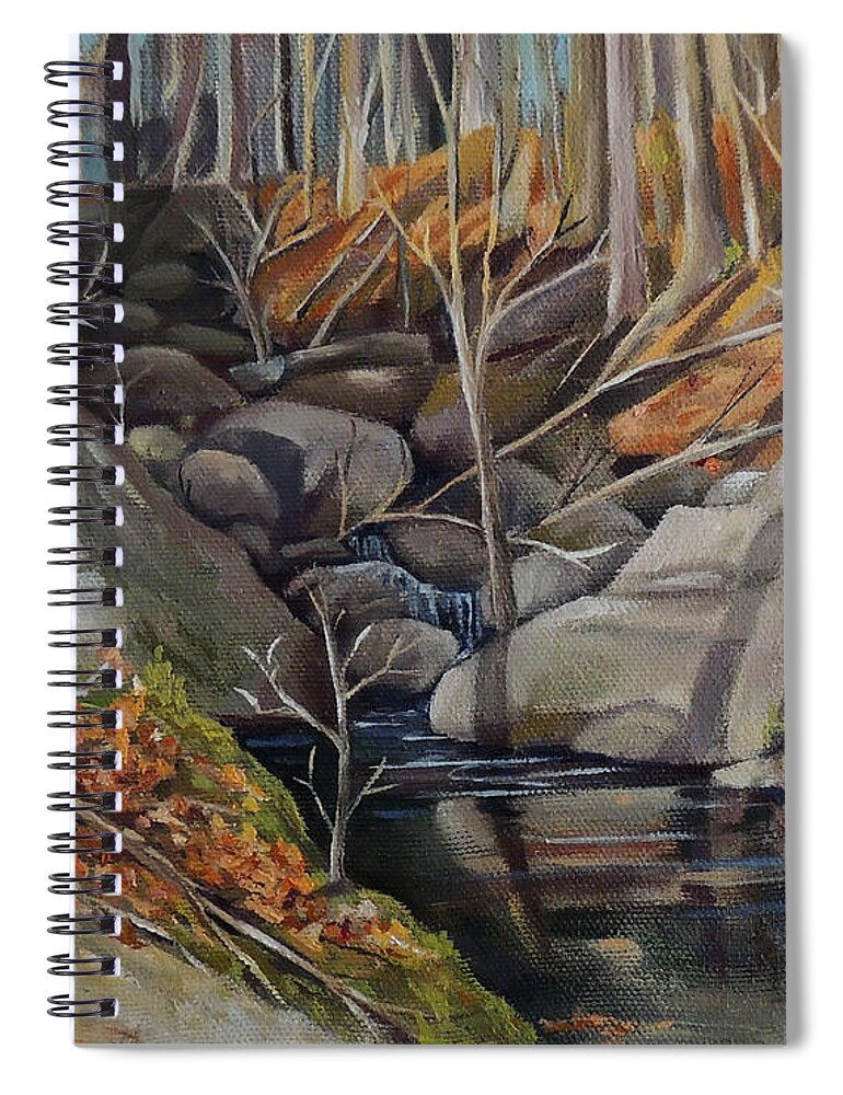 Plein Air Spiral Notebook featuring the painting Woodland Stream by Nancy Griswold