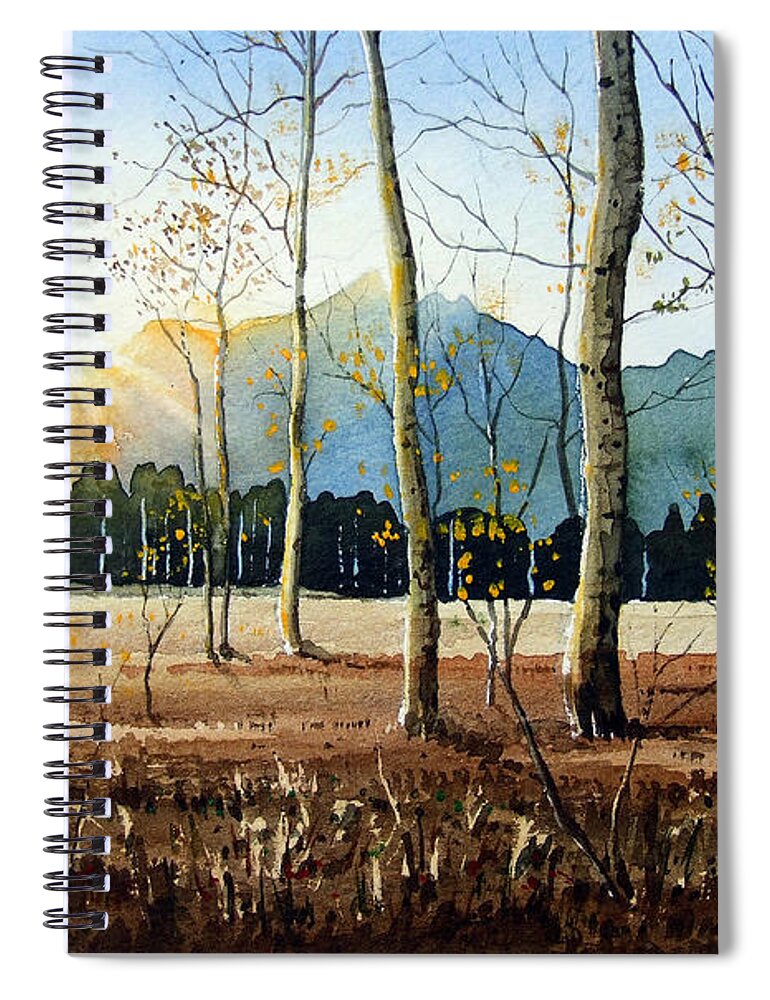 Landscape Spiral Notebook featuring the painting Woodland Sunset by Paul Dene Marlor