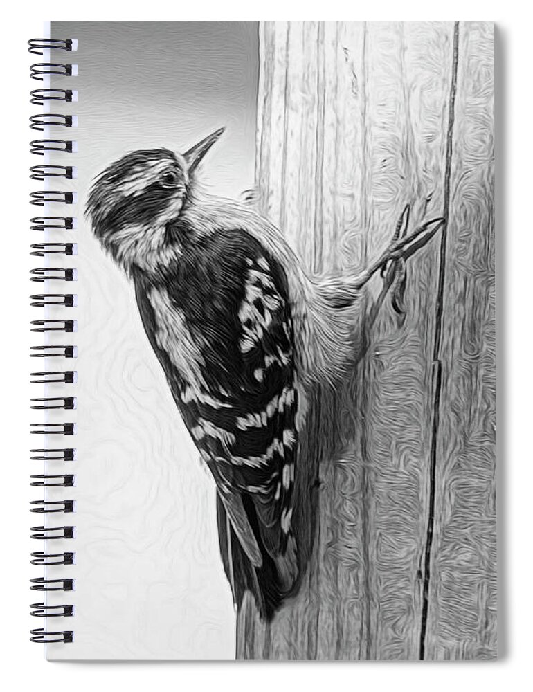 Nature Spiral Notebook featuring the photograph Woody in Black n White by Cathy Kovarik