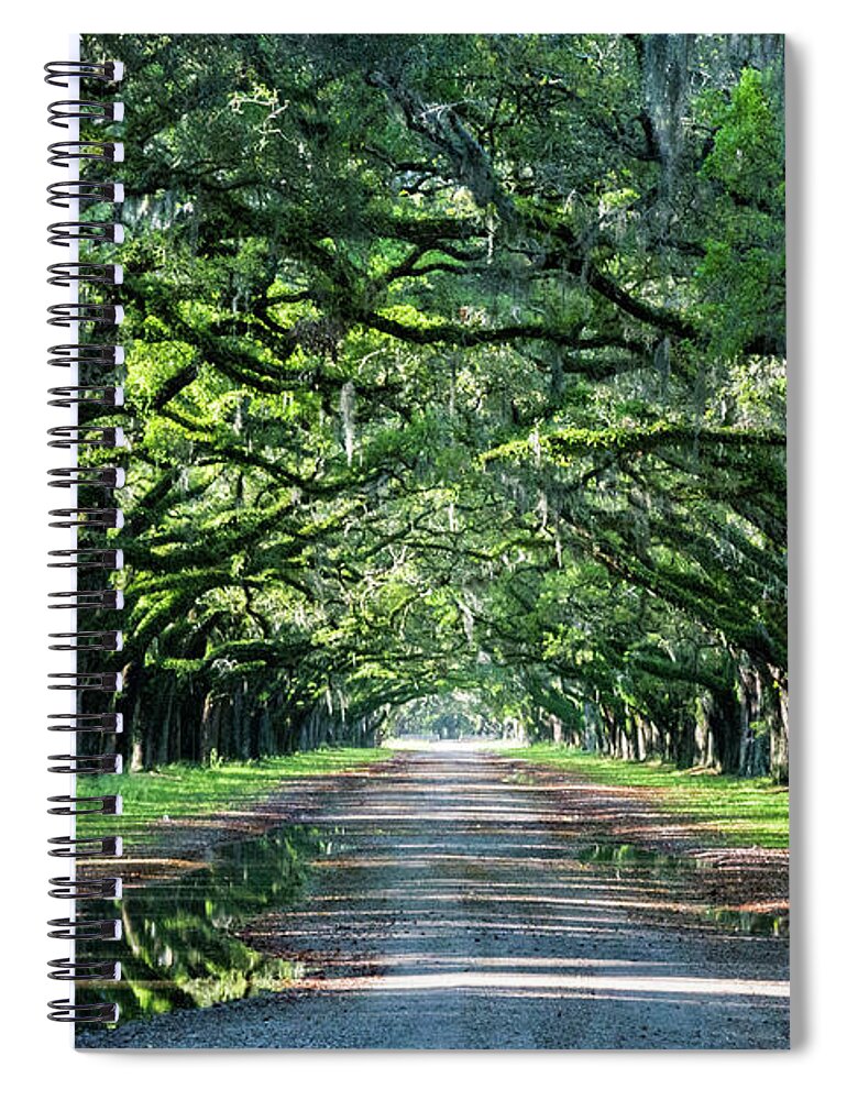 Photography Spiral Notebook featuring the photograph Wormsloe Way by Joe Kopp