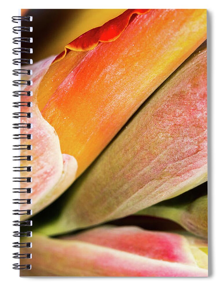 Abstract Spiral Notebook featuring the photograph Wrapped Red Canna Flowers by SR Green