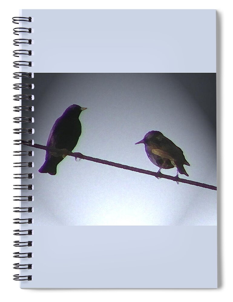 Abstract Spiral Notebook featuring the photograph Wren Ya Goin Out wit Me by Lenore Senior