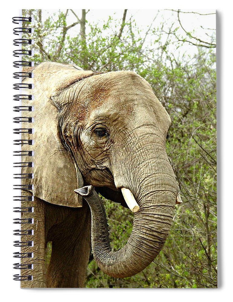 Wrinkles Spiral Notebook featuring the photograph Wrinkles by Dark Whimsy